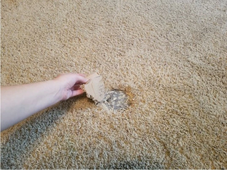 repair hole in carpet